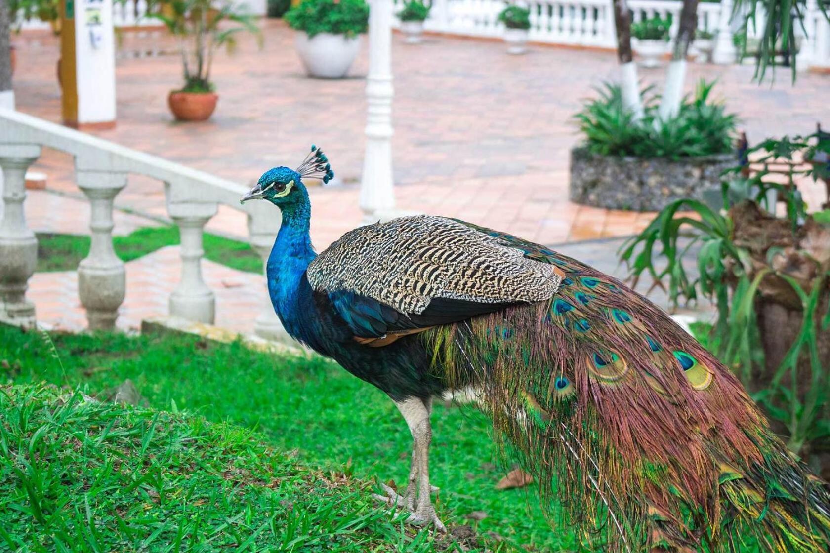 Hotel Posada San Sebastian San Jeronimo  Luaran gambar